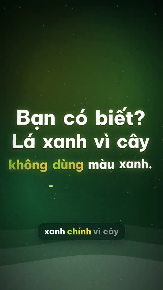 Quang hợp và màu lá