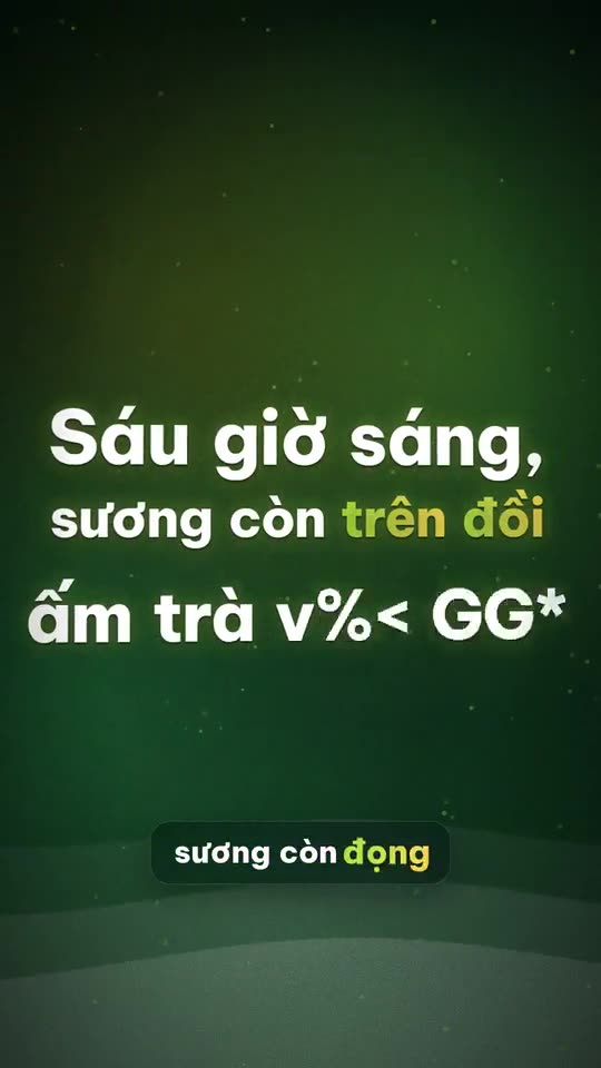 Homestay Đà Lạt: một buổi sáng