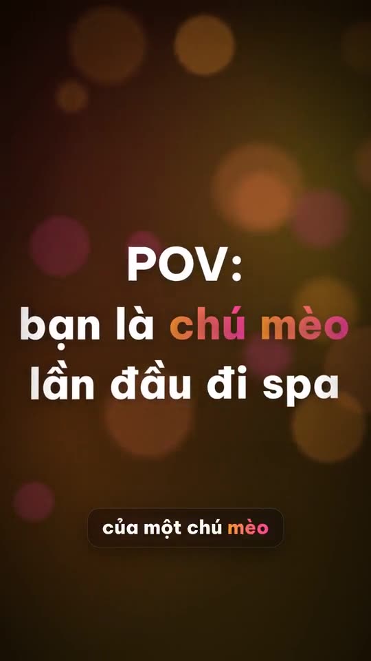 Spa thú cưng kiểu POV